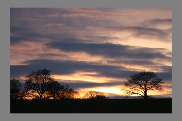 <font color=#bdbdb6 face=Verdana><strong>Brecon series</strong></font>