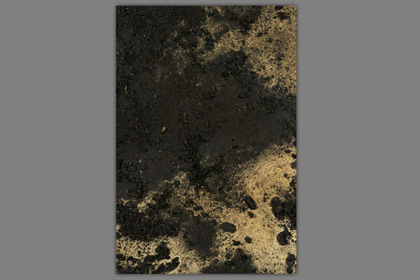 <font color=#bdbdb6 face=Verdana><br />Details from Yews and Oak</font>